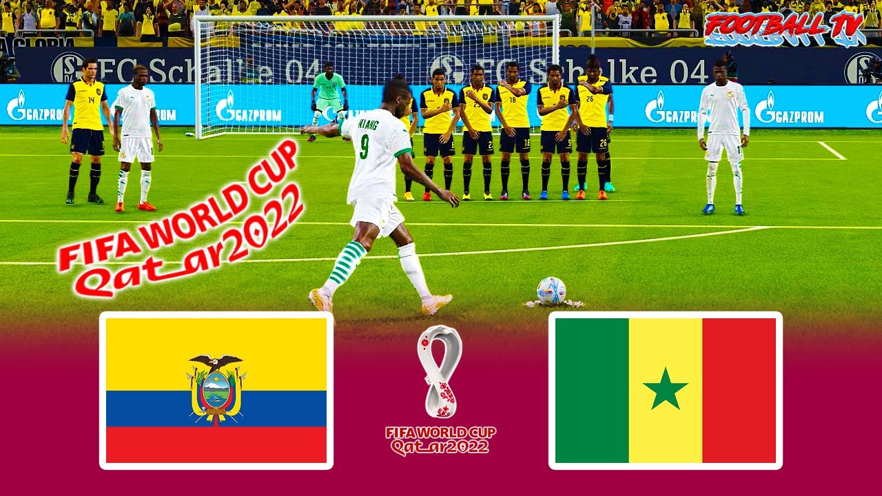 Thông tin tổng quan về đội tuyển Ecuador vs Senegal